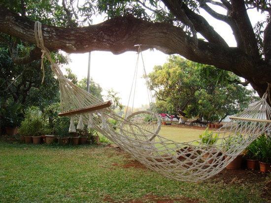 V Resorts Mahua Bagh Murud Nāndgaon 外观 照片
